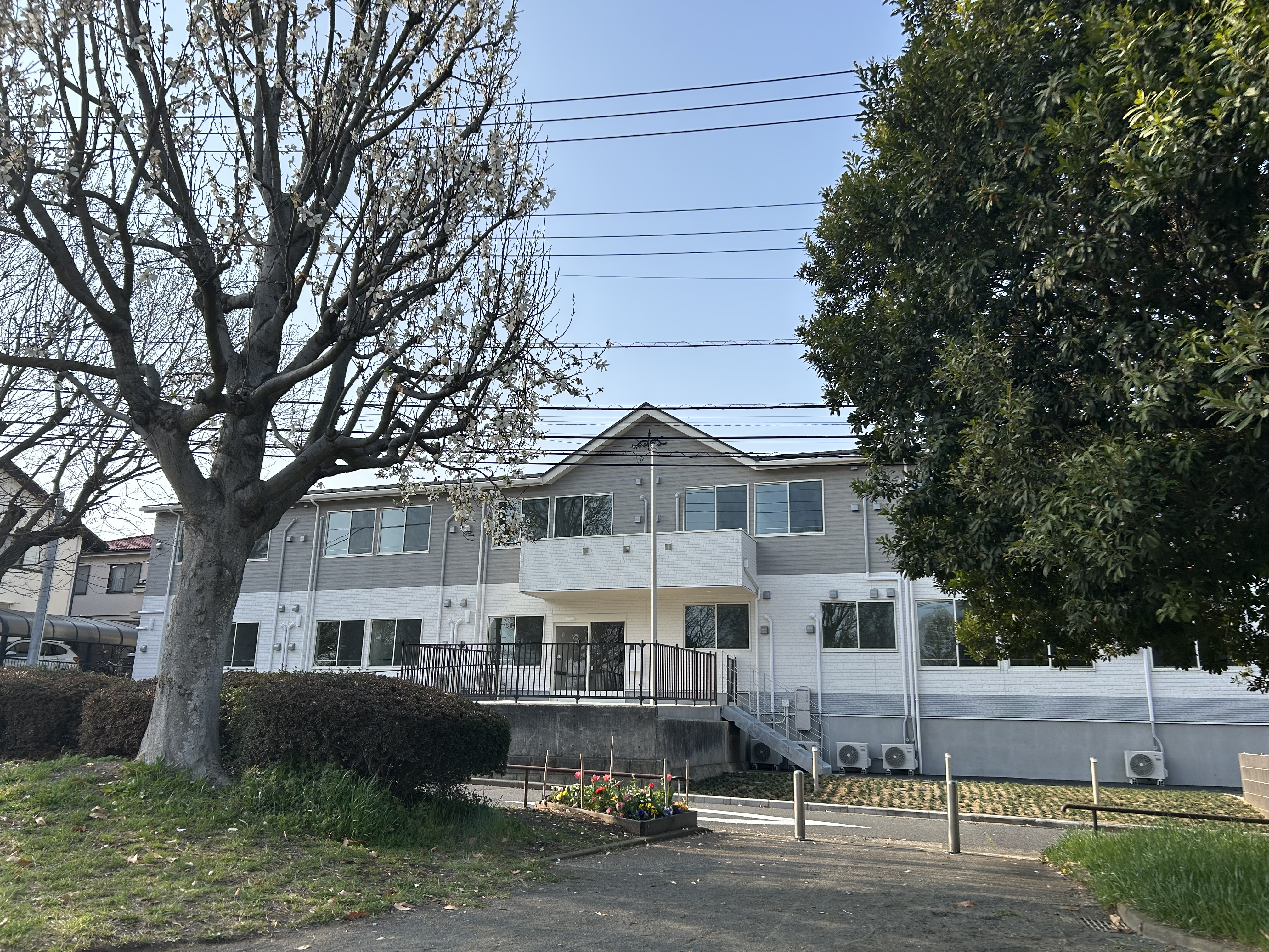 施設周辺の緑豊かな環境